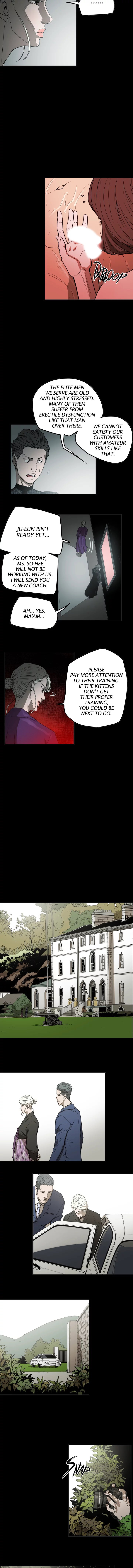 ACE Chapter 58 - Page 3