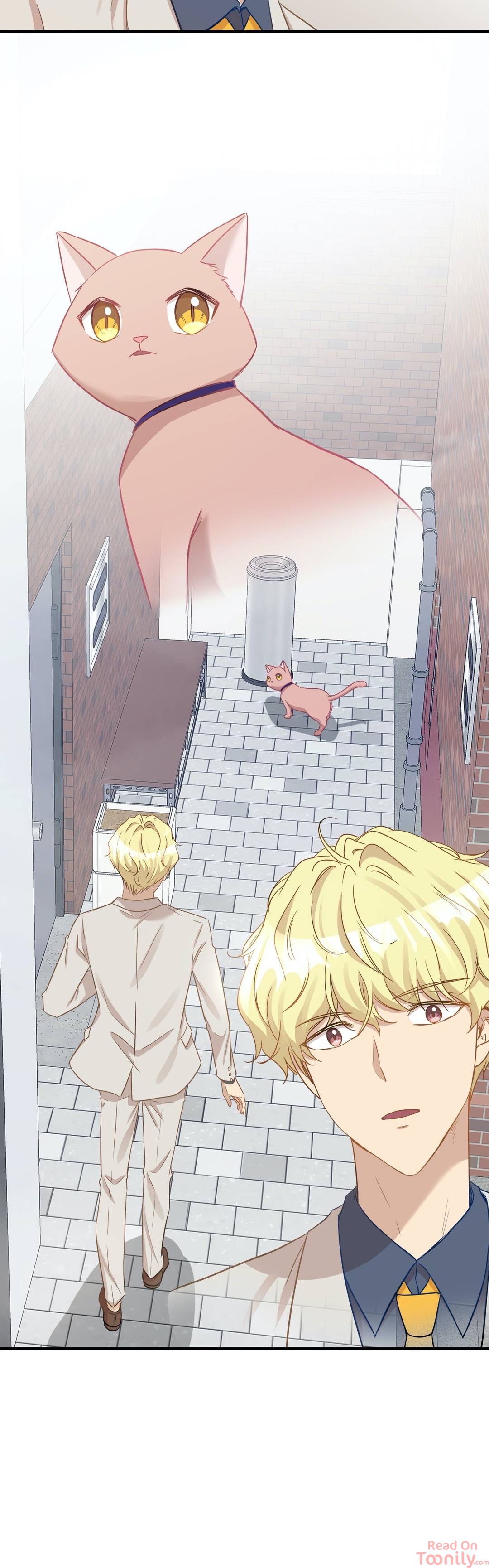 Just for a Meowment Chapter 20 - Page 24