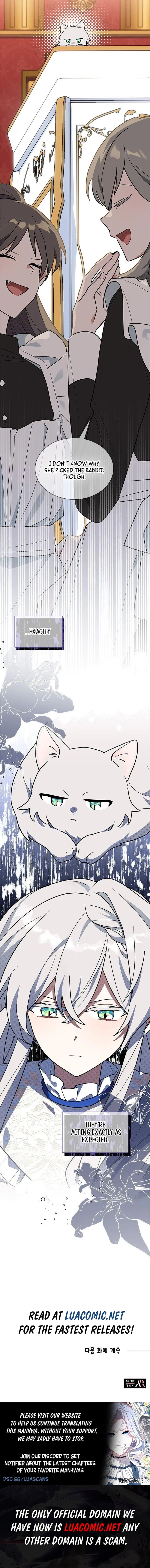 You’re a Cat, But You’ve Been Adopted by a Wolf Family? Chapter 44 - Page 13