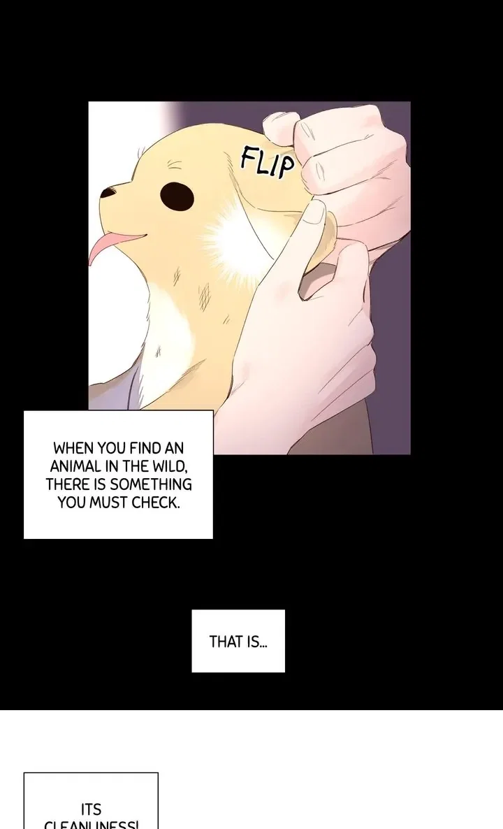 4 Week Lovers Chapter 86 - Page 13