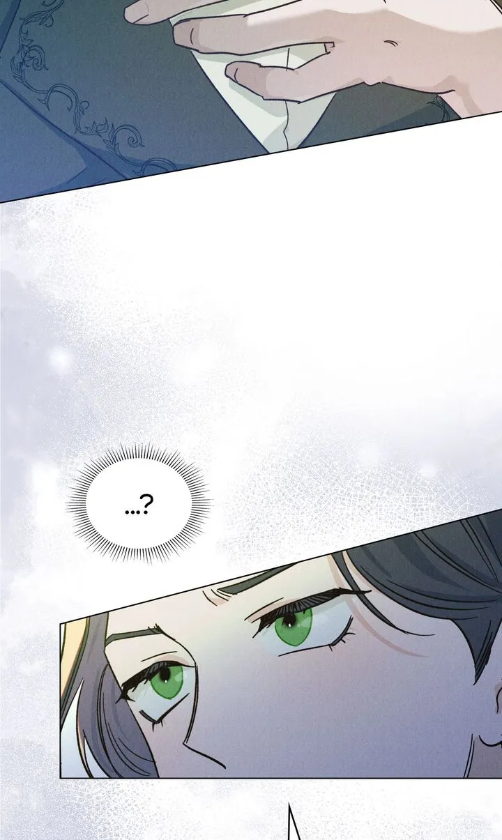 A Butterfly Through the Mist Chapter 12 - Page 29