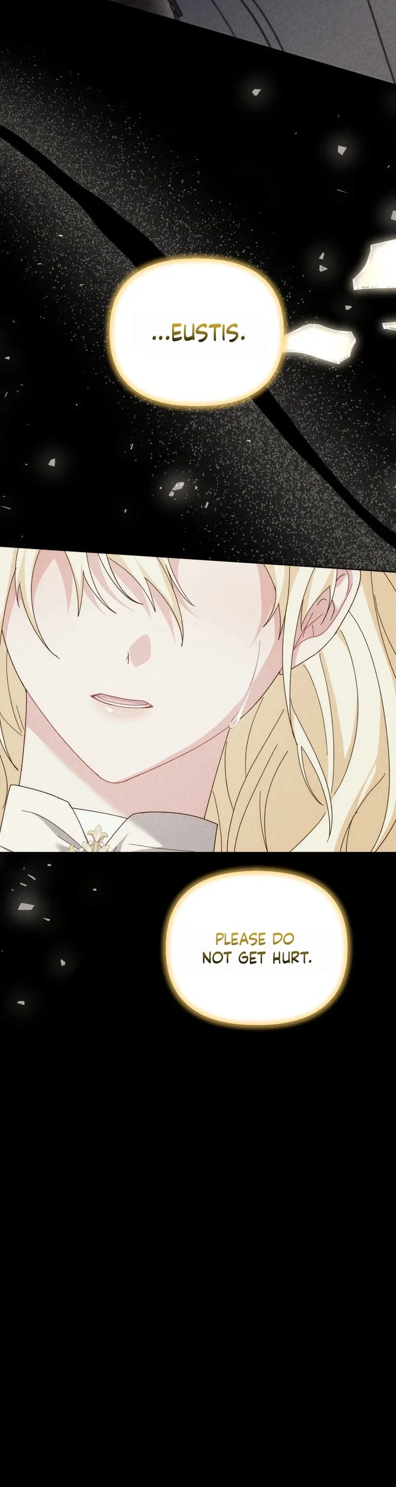 After Resignation, I Refuse the Obsession from the Male Leads Chapter 13 - Page 5