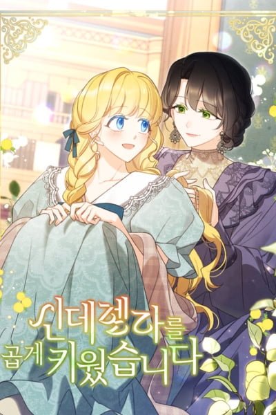A Wicked Tale of Cinderella's Stepmom cover