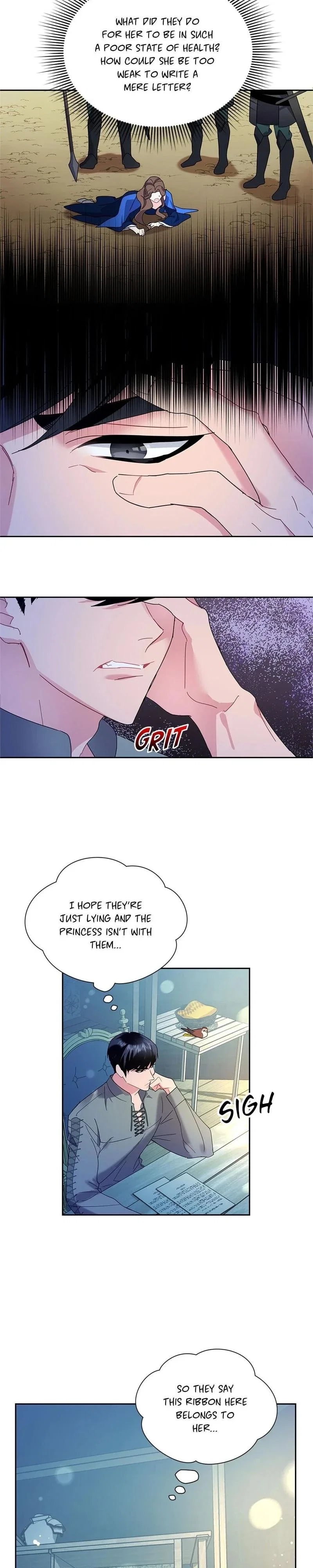 Cavier Falcon Princess Chapter 26 - Page 17