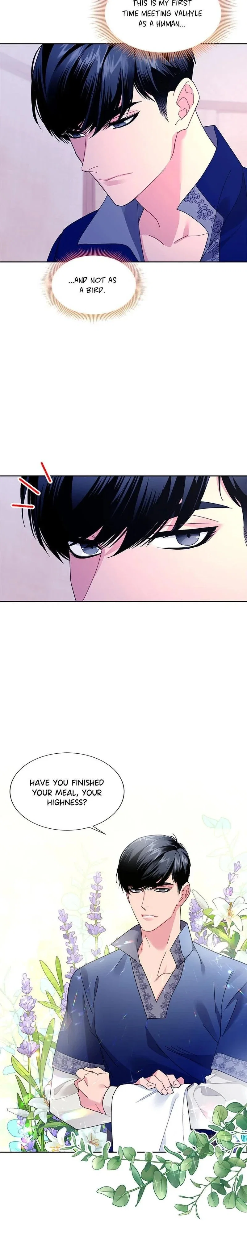 Cavier Falcon Princess Chapter 41 - Page 13