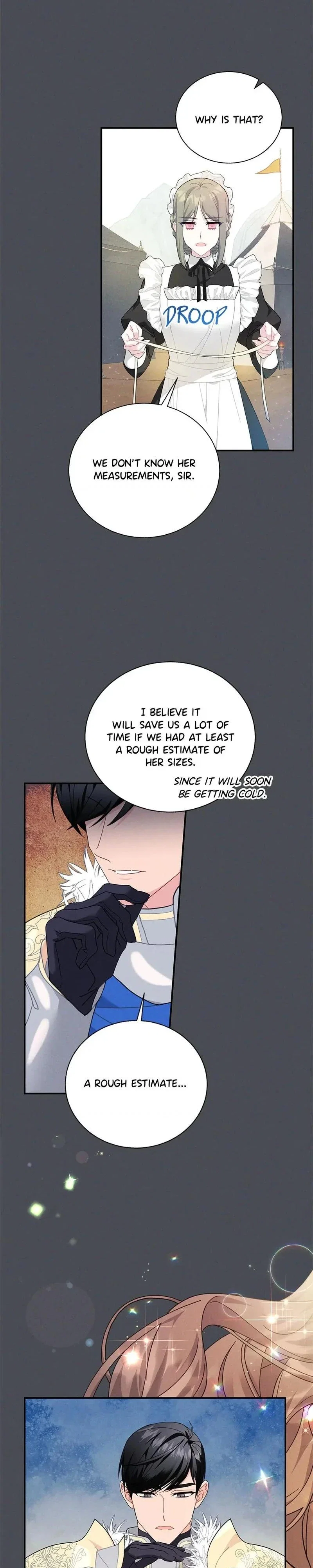 Cavier Falcon Princess Chapter 73 - Page 20