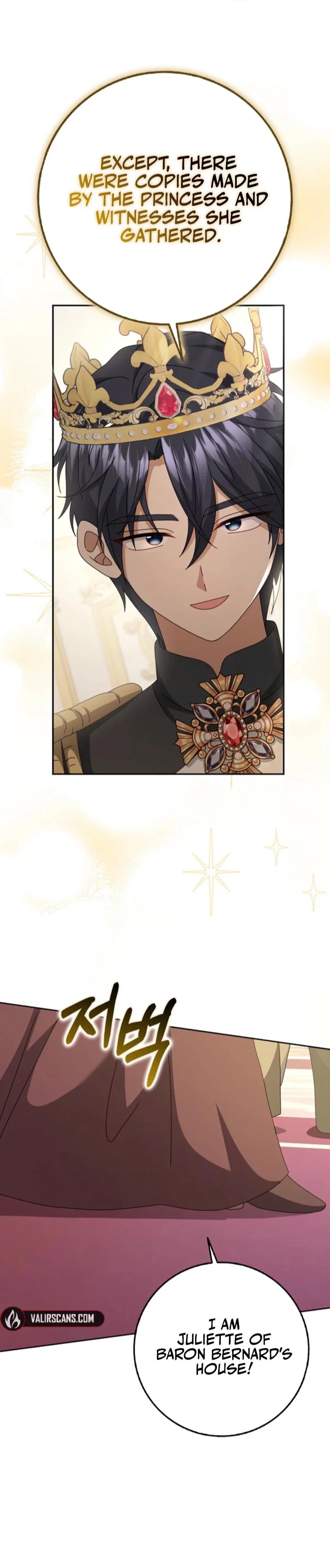 Cinderella Disappeared Chapter 70 - Page 27