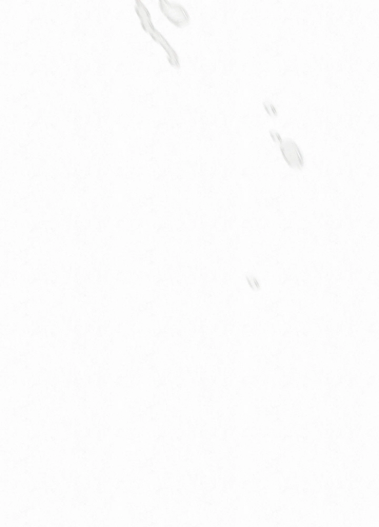 Diamond Dust (C.R Jade) Chapter 13 - Page 64