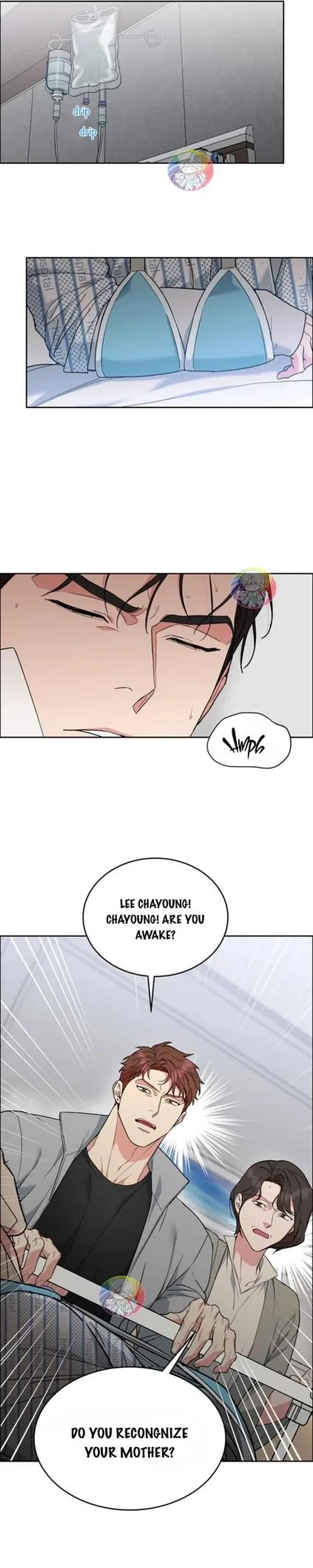 Dog and Bird Chapter 71 - Page 8