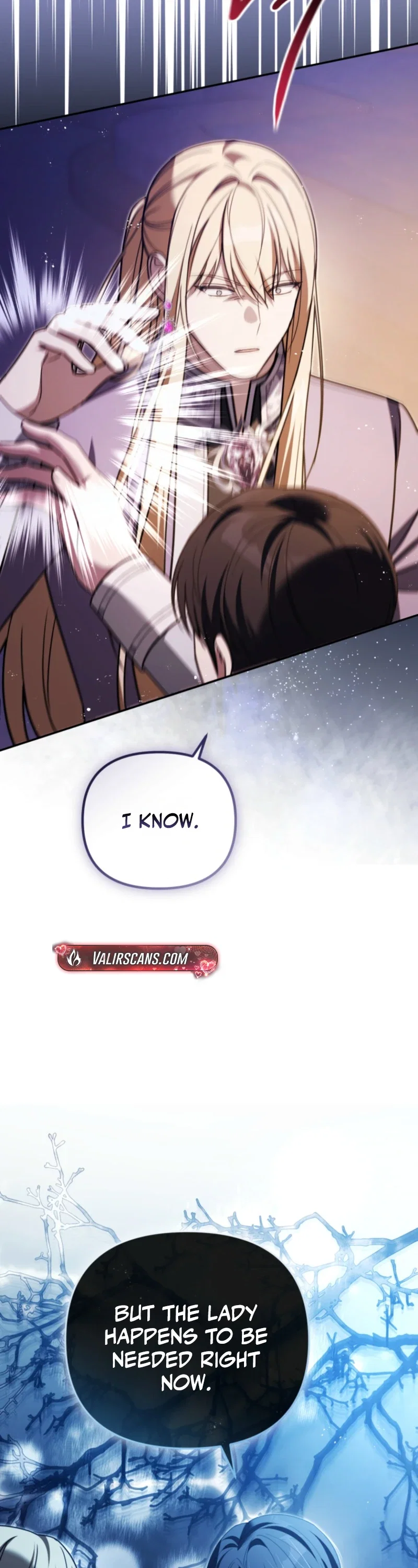 Even if I Hide My Power, the Noble Lady Is the Strongest Chapter 49 - Page 46