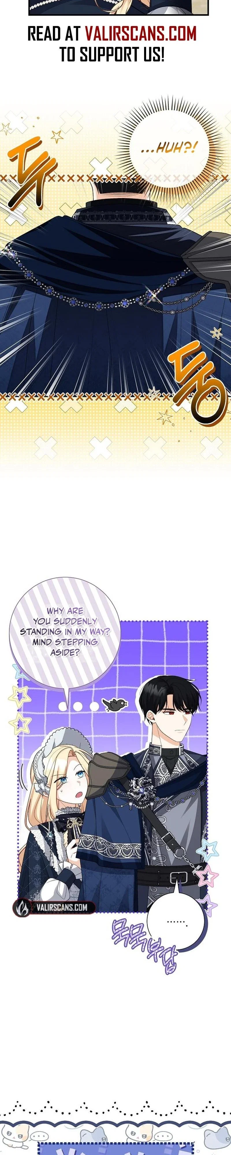 I Became the Mother of a Sub-Male Son Chapter 29 - Page 17