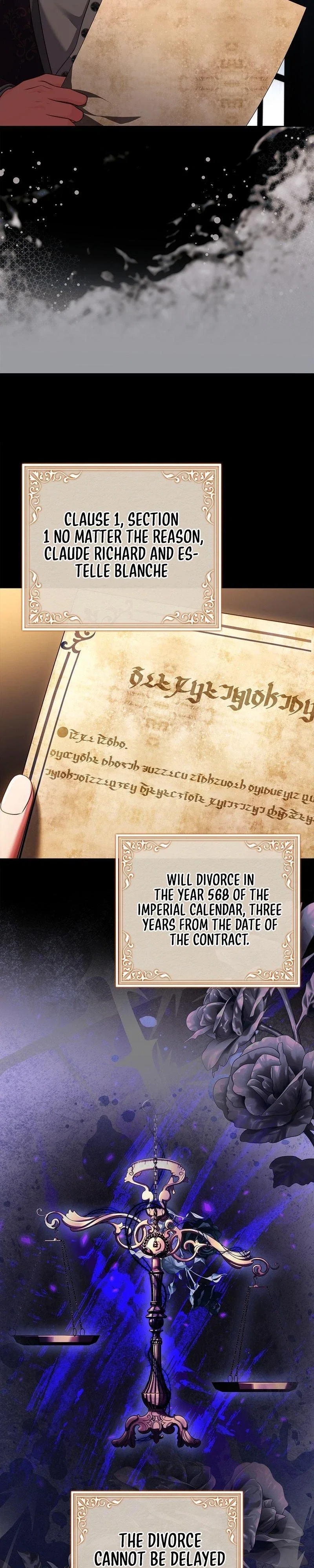 Leave the Divorce to a Professional Lawyer Chapter 14 - Page 11