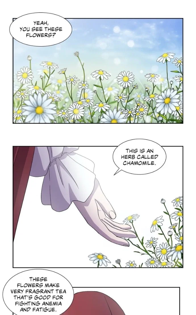 Light and Shadow Chapter 45 - Page 10