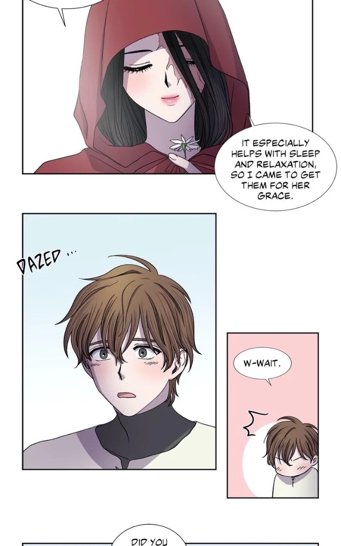 Light and Shadow Chapter 45 - Page 11