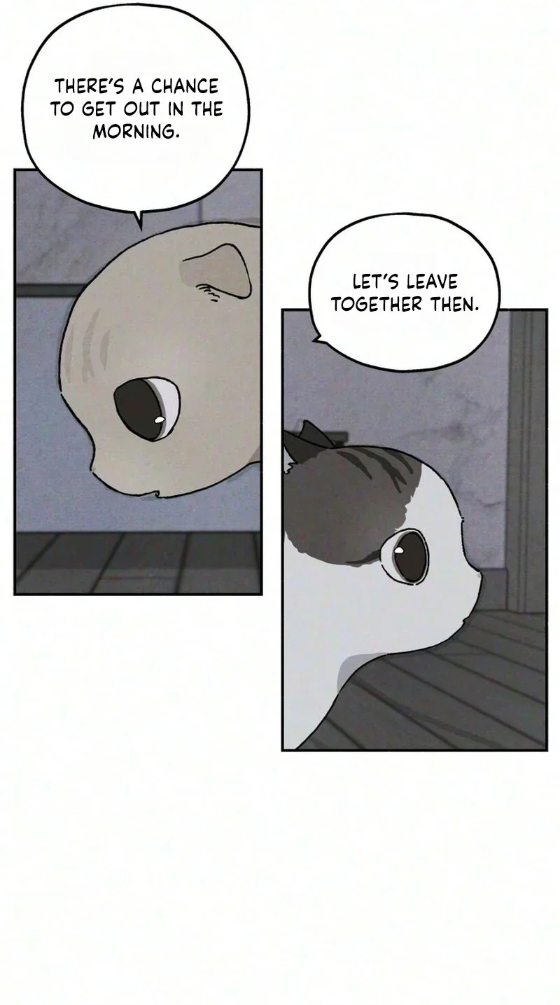 Live With Me Chapter 10 - Page 69