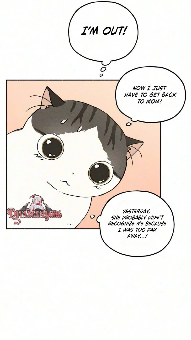 Live With Me Chapter 11 - Page 22
