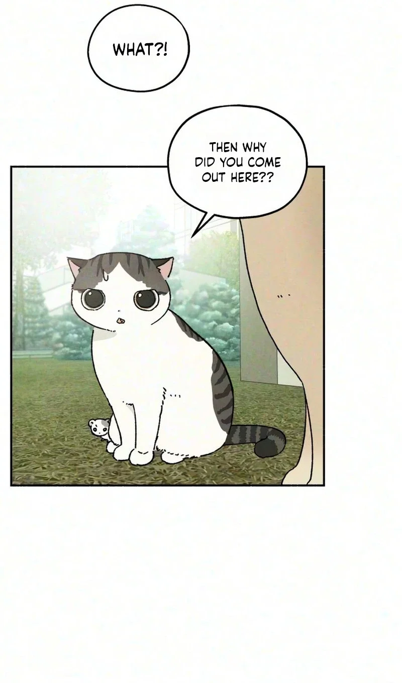 Live With Me Chapter 11 - Page 25