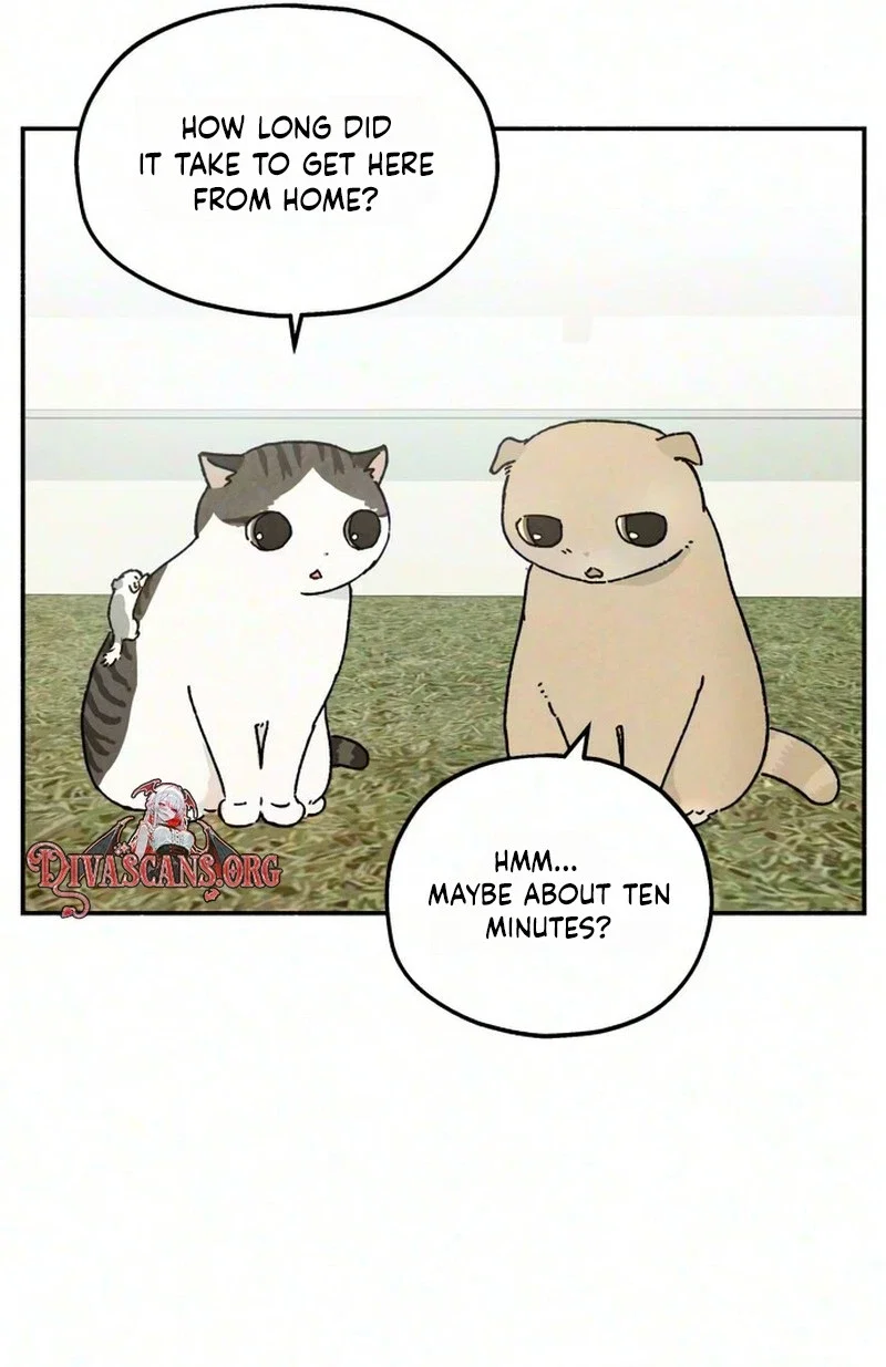 Live With Me Chapter 11 - Page 30