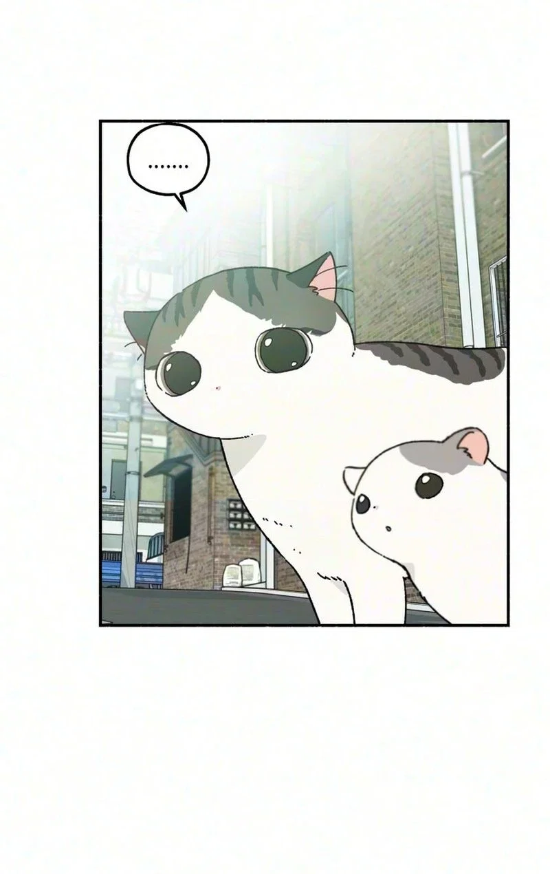 Live With Me Chapter 13 - Page 15