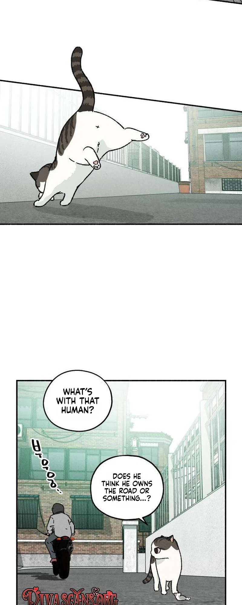 Live With Me Chapter 14 - Page 31