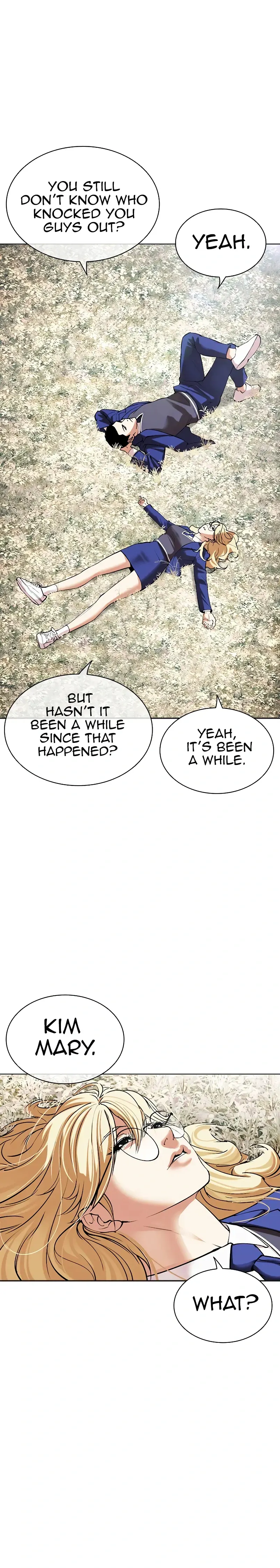 Lookism Chapter 501 - Page 18