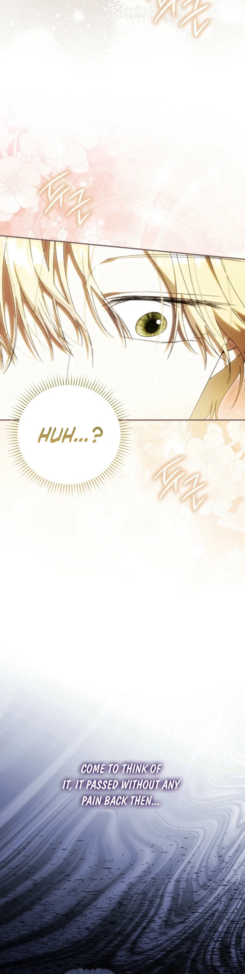 My Husband Is My Ultimate Bias, but I Think He Wants a Divorce Chapter 33 - Page 17