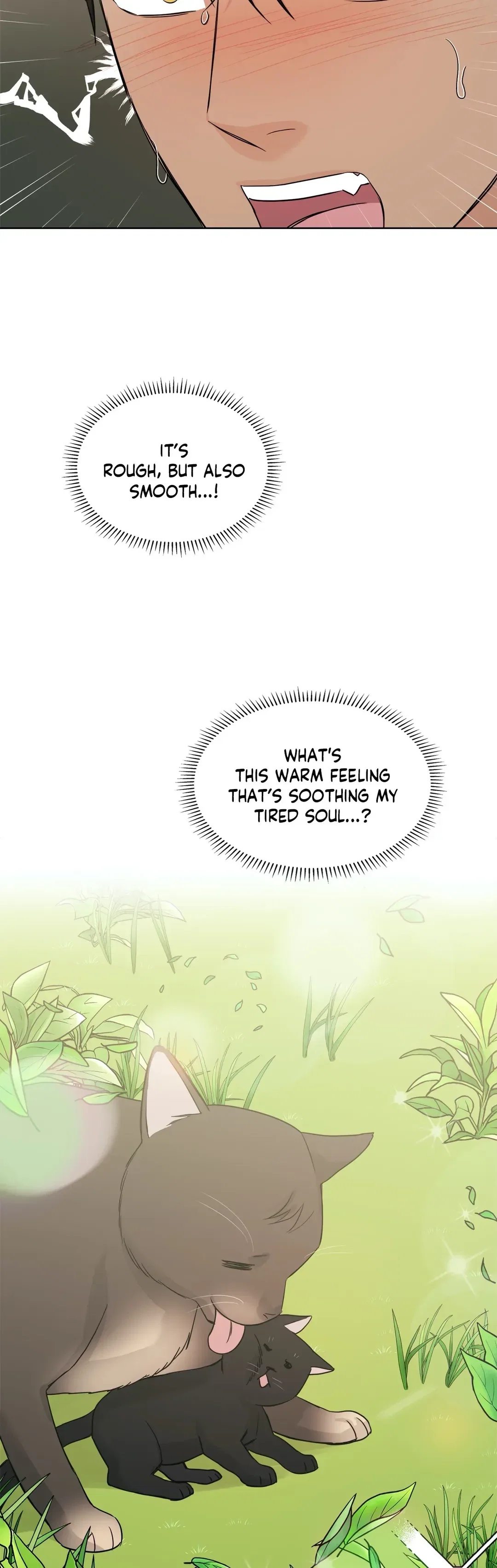 My Purrfect Boss! Chapter 34.3 - Page 14
