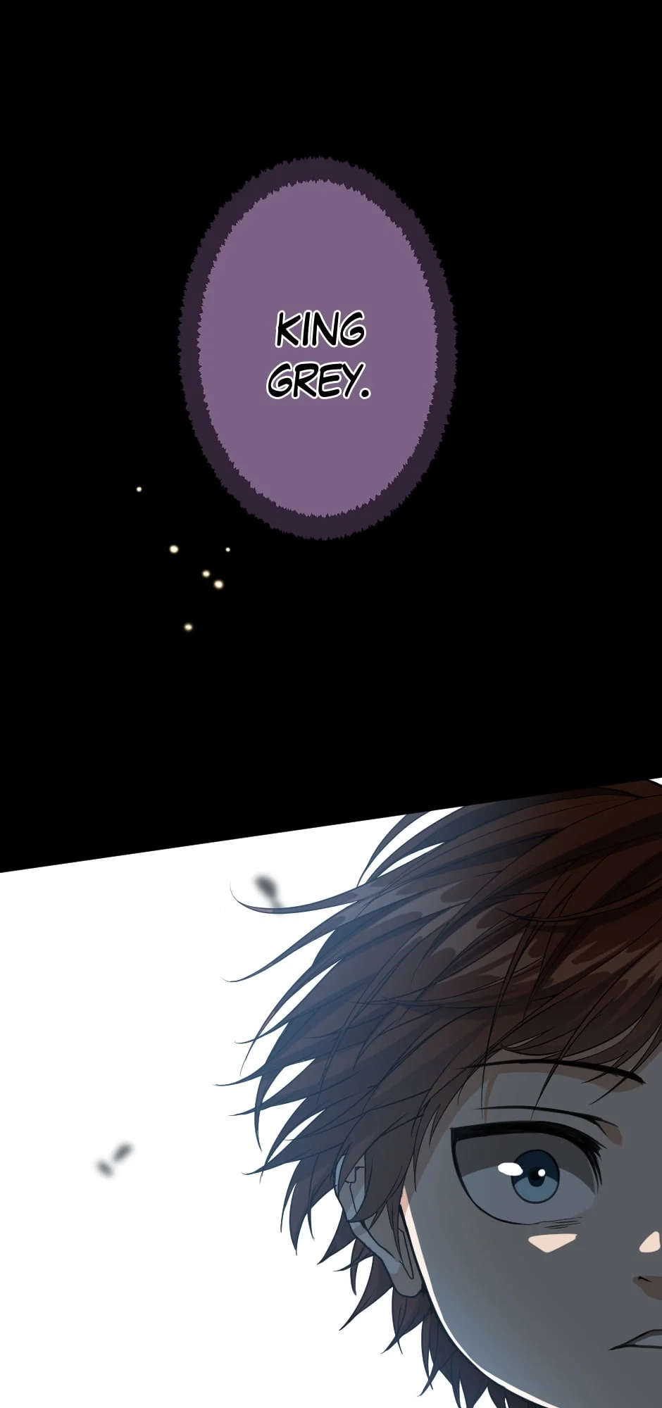 The Beginning After the End Chapter 16 - Page 35