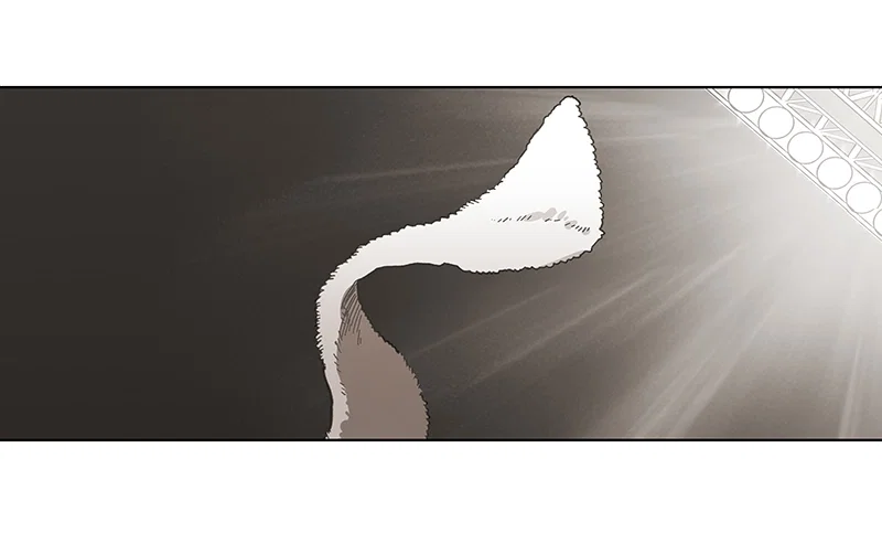The Boxer Chapter 50 - Page 173