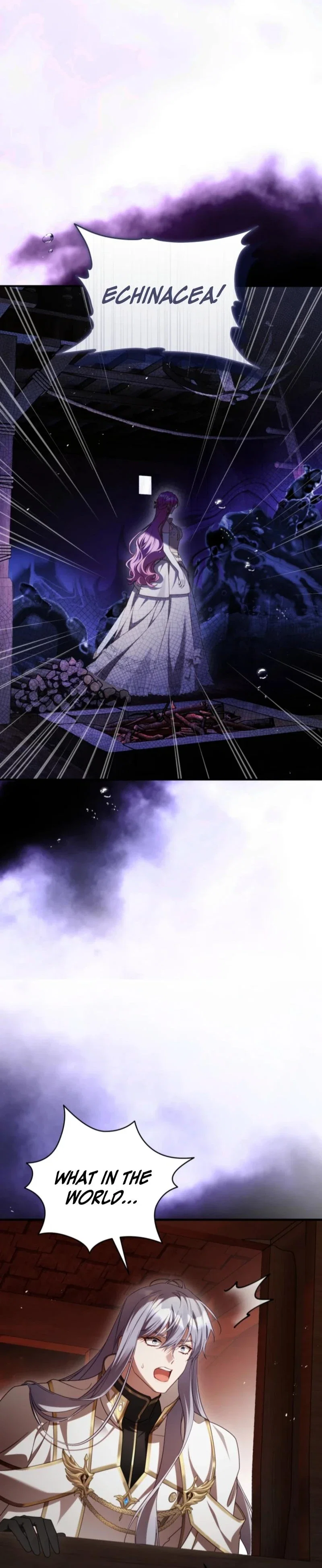 The Flower with a Sword Chapter 44 - Page 41