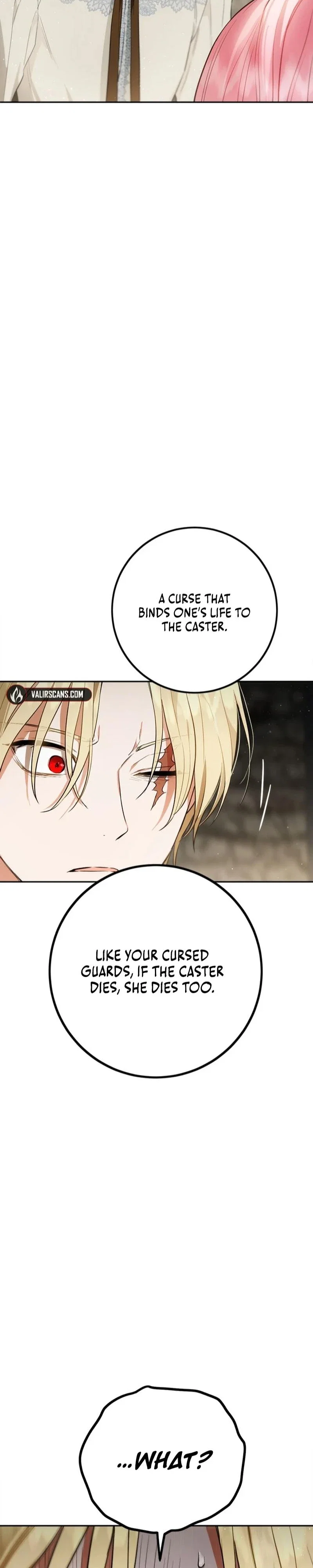 The Princess’s Double Life Chapter 96 - Page 24