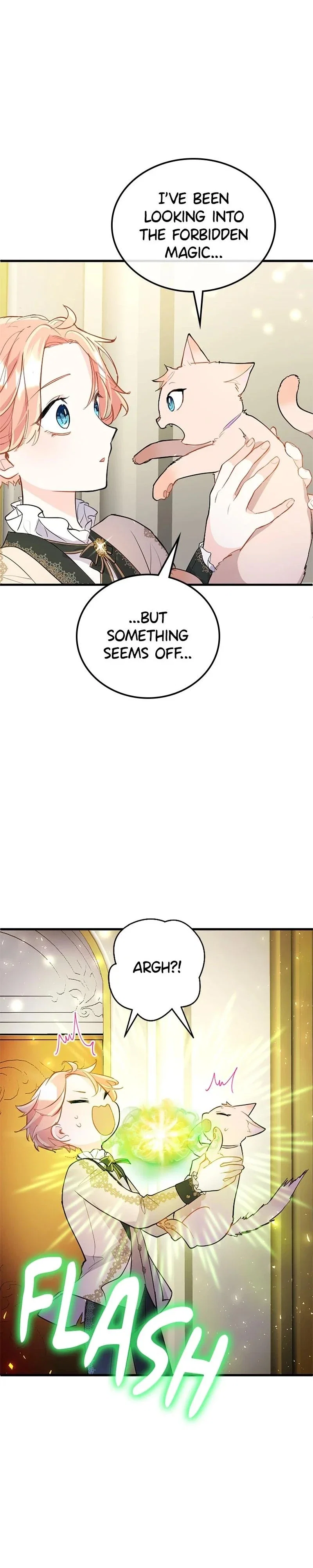 The Reason for the Twin Lady’s Disguise Chapter 69 - Page 28