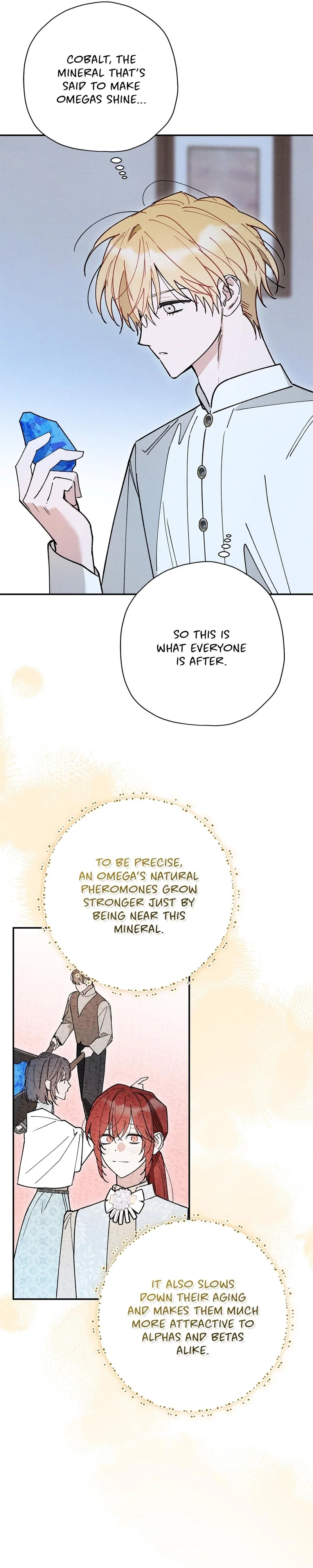 The Rogue Prince Is Secretly an Omega Chapter 98 - Page 28