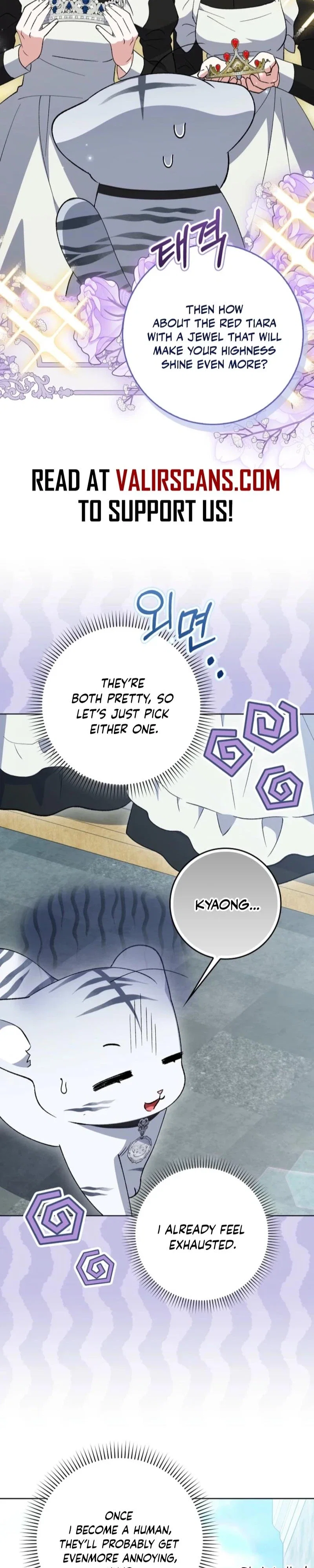 The White Tiger Princess is Not in Danger Chapter 8 - Page 28