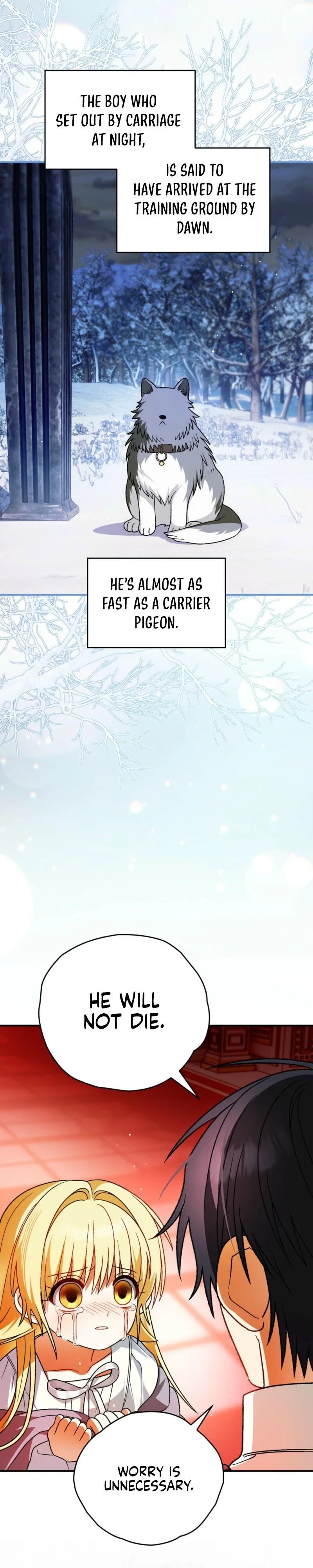 To My Dear Wolf Chapter 24 - Page 5