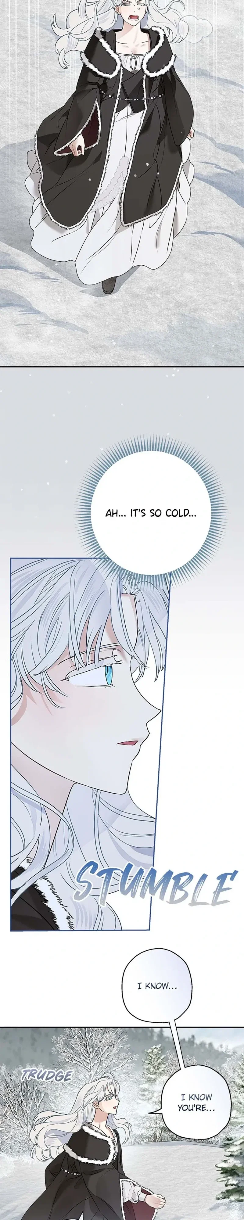 When The Count’s Illegitimate Daughter Gets Married Chapter 81 - Page 25