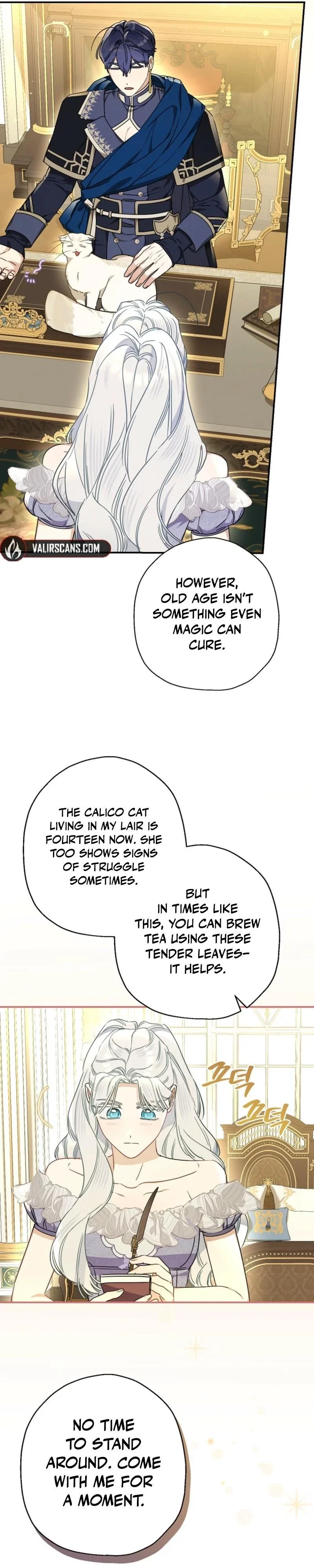 When The Count’s Illegitimate Daughter Gets Married Chapter 112 - Page 22