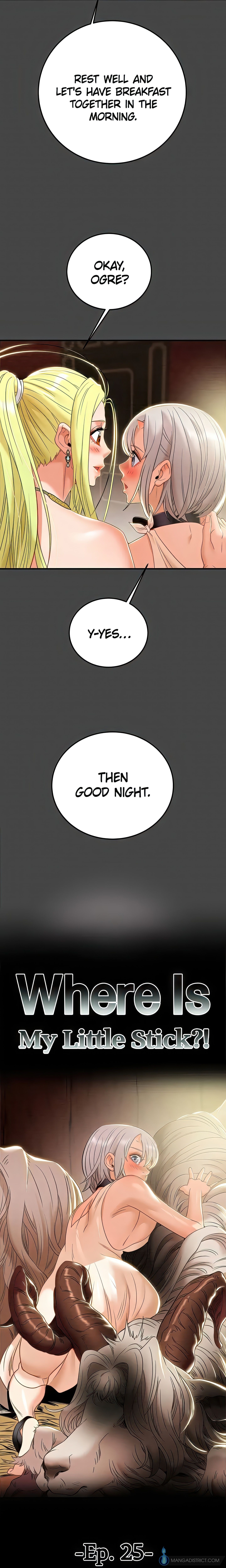Where Is My Little Stick?! Chapter 25 - Page 5