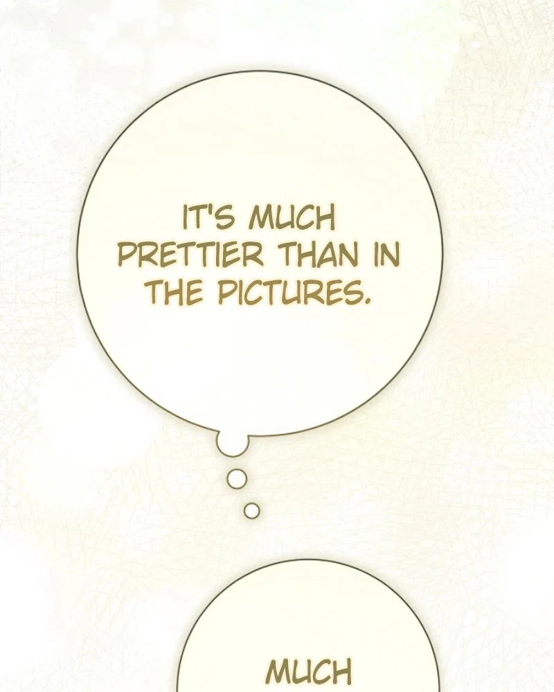 Your Throne Chapter 205 - Page 217
